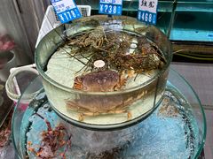 -强记海鲜·大排档(蛇口新街店)