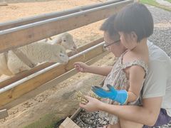 -HERRE·FARM 赫尔露营农场·团建聚会包场