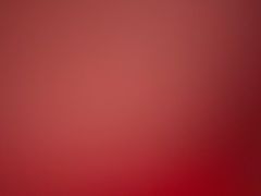 -上海如意智慧酒店(上海科学院店)