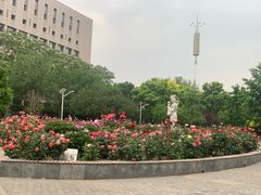 -丰台花园