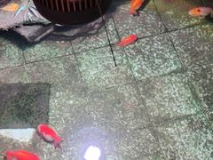 -佛有缘素食馆·荔湾老字号(陈家祠首店)