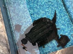 -莹珠阁·私房菜