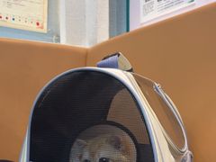 -联合动物医院(光谷诊疗中心)
