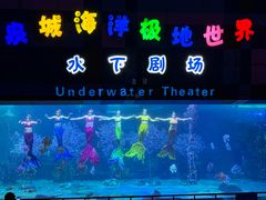 -泉城欧乐堡海洋极地世界