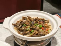 -天辣(金桥啦啦宝都店)