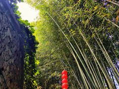 -竹泉村旅游度假区