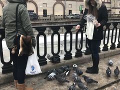 -滴血救世主教堂