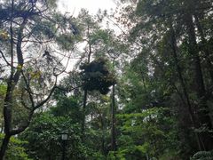 -三门江国家森林公园