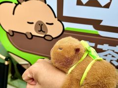 -萃茶师(琅西店)