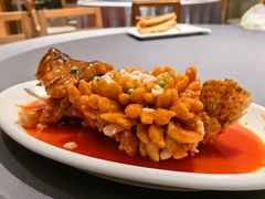 -新梅华餐厅(星悦汇店)