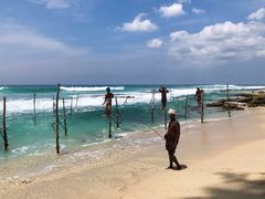 -尼甘布海鲜市场