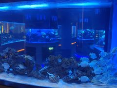 -上和臻品中国菜(花园街店)