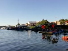-微山湖红荷湿地景区
