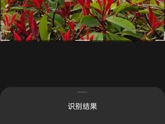 -西安世博园