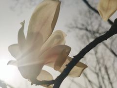 -利群海琴购物广场(商丘路店)