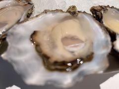 吉拉朵-Oyster Talks 四度蚝法餐厅