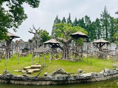 -上海野生动物园