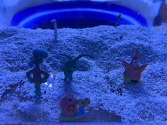 -芜湖新华联大白鲸海洋公园