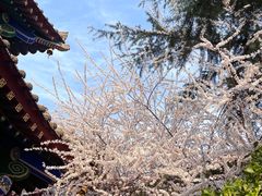 -西安市广仁寺