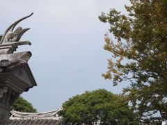 -尚贤河湿地
