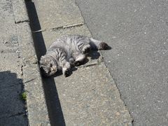 -灌篮高手动画打卡地