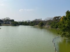 -江心屿景区