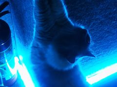 -零纪元VR体验馆·桌游(黄浦店)