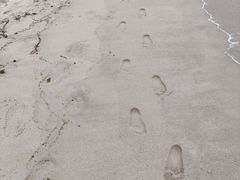 -玫瑰海岸文化旅游度假区