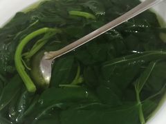 -东吴霸王兔(松青路店)