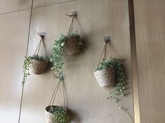 -桃花江餐厅·江景-约会·聚会