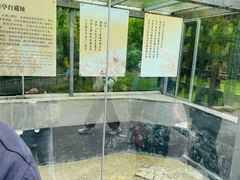 -成都杜甫草堂博物馆