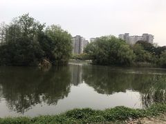 -新江湾城公园