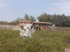 -北海金海湾红树林生态旅游区