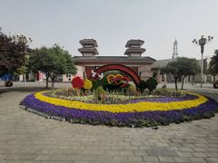 -古渡公园