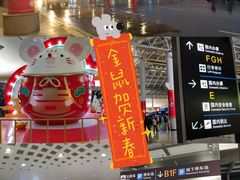 -杭州萧山国际机场