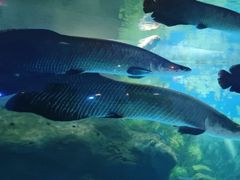 -鄂尔多斯野生动物园