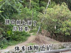 -黄埔油麻山森林公园