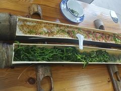 -竹乡园柴火竹筒饭·烧鸡(白水寨*森林海店)