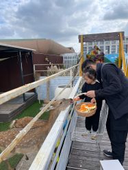 -小蜜蜂农场(凯德七宝购物广场店)