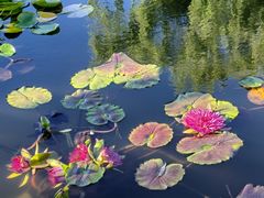 -国家植物园南园