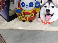 -茶百道(吉嘉港店)