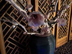 -印象江南·足道按摩养生Spa