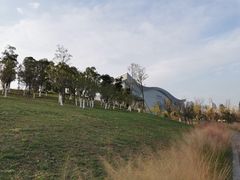 -桂溪生态公园