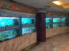 -金龙渔港(双楠店)