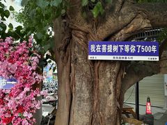 -婉泰·特色小吃·舂鸡脚(告庄二店)