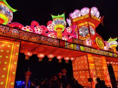 -空港花田景区