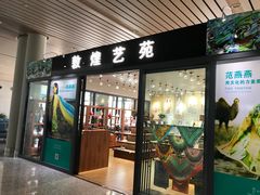 -敦煌莫高国际机场