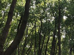 -同里国家湿地公园