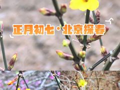 -南长河公园