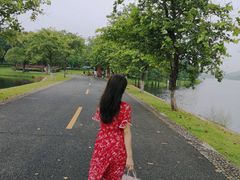 -松山湖南湖湾露营营地